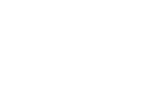 Silver Lining Parent Services